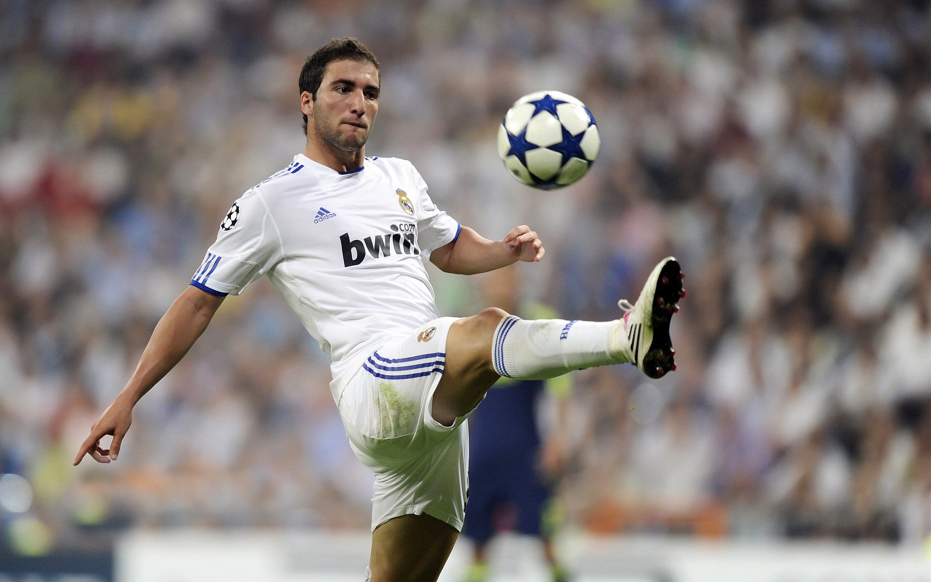 莫兰特一剑封喉,奇才草根阵如何让十一冠王广东俯首?